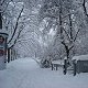 Bild:Winter in Mnchen