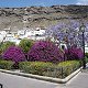 Bild:Urlaub auf Gran Canaria